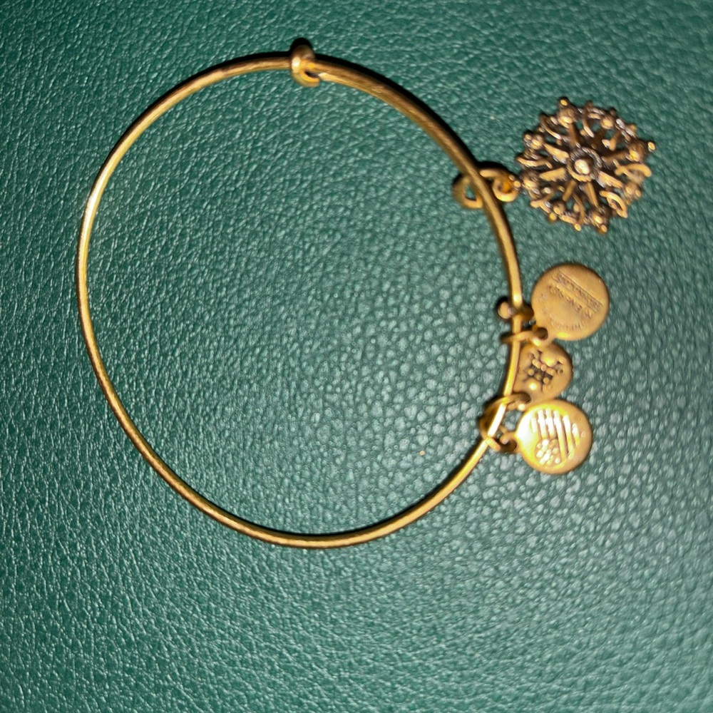 Alex and Ani bracelet